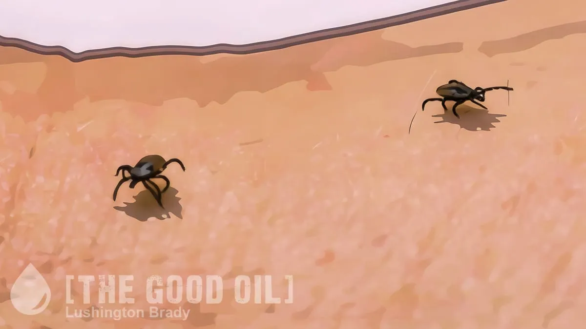 You Vill Be Bitten by Ze Ticks and You Vill Be Happy