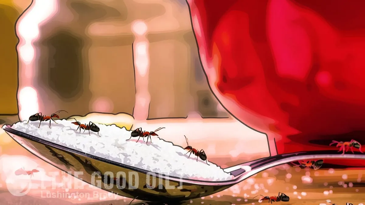 The Ants Come Swarming Again
