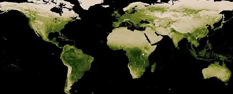 Global Greening Hits New Record