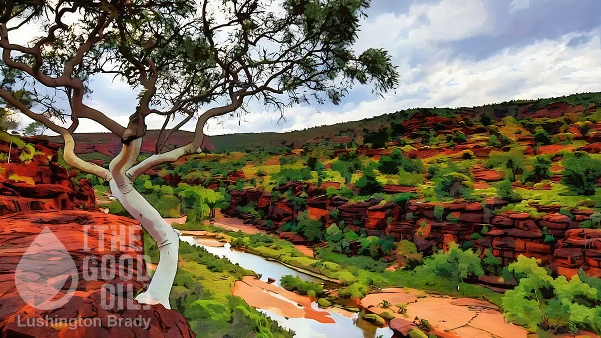What’s the World’s Oldest River?