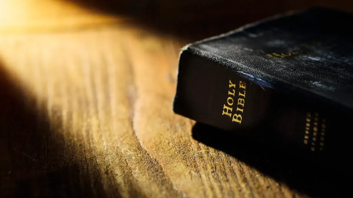 Bible Verse of the Day