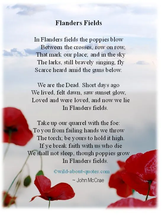 Flanders fields