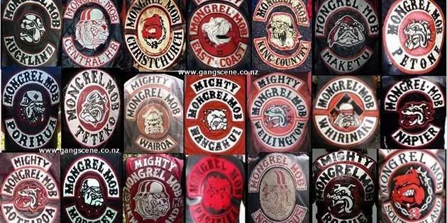 Weekend of GANG Violence Shows Need to Get Tough