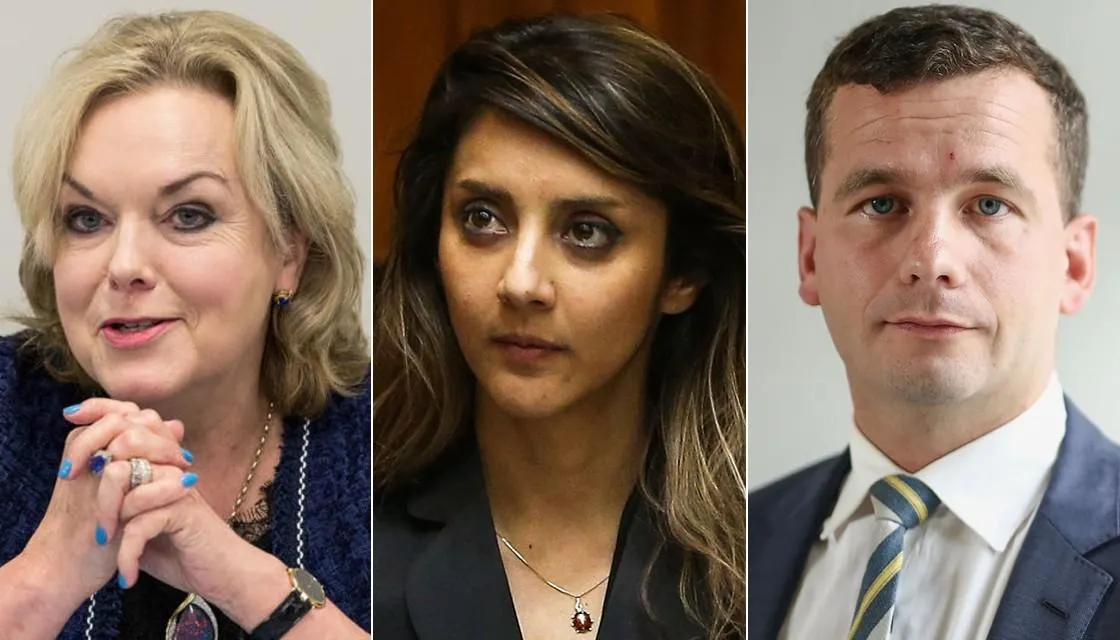 Audio: Judith Collins & David Seymour discuss Golriz Ghahraman