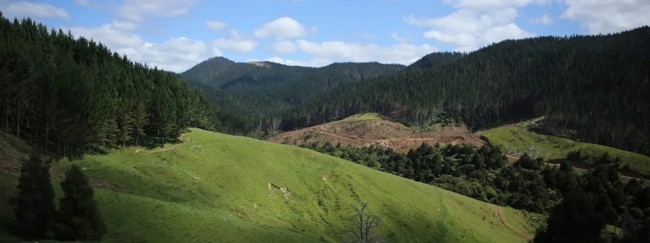 Forest Owners Brace for Avalanche of Clip-Boards in Government Measure