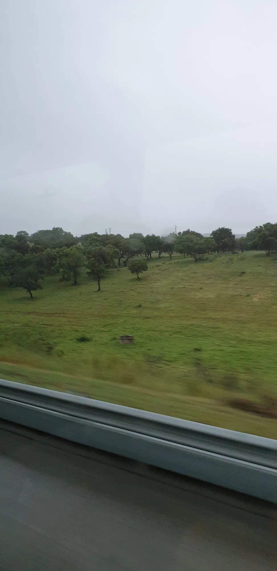 View from Your Window