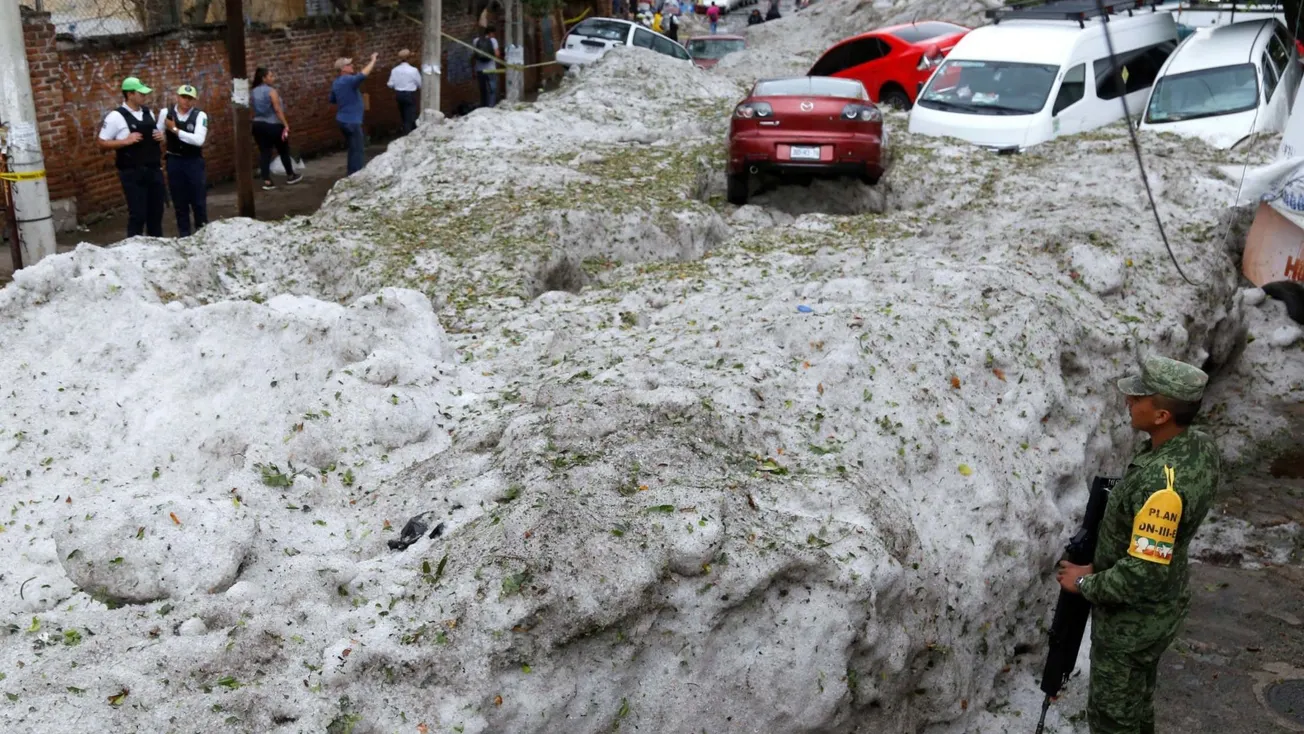 In Case You Were Wondering