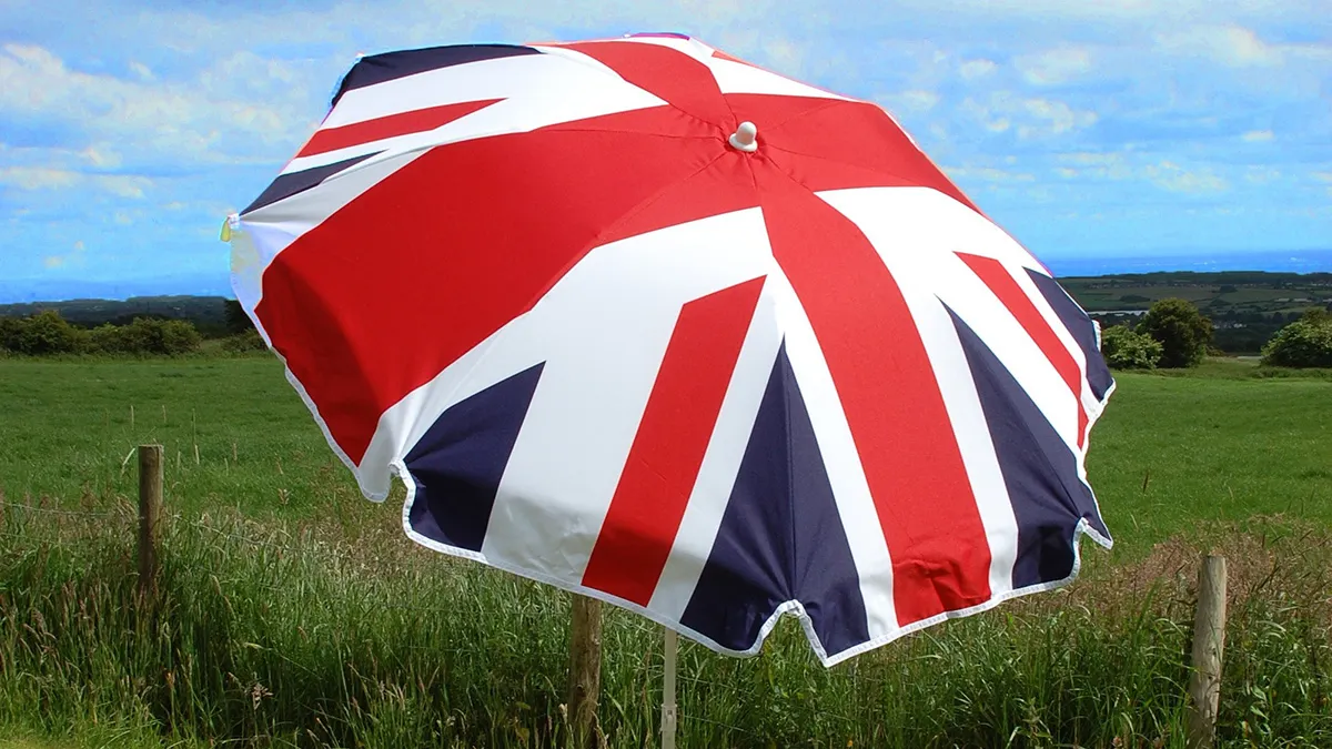 It’s Raining Morons