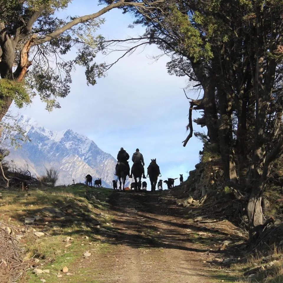 In 2019 It Feels Like Agriculture Is Under Attack.