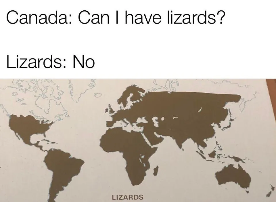 Map of the Day: Lizards