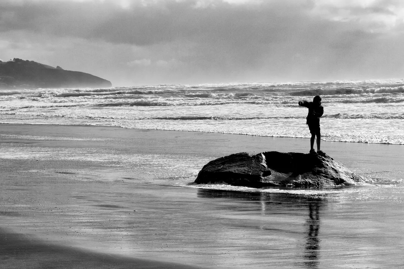 Appeal Riles Opotiki Coastal Claimant Group