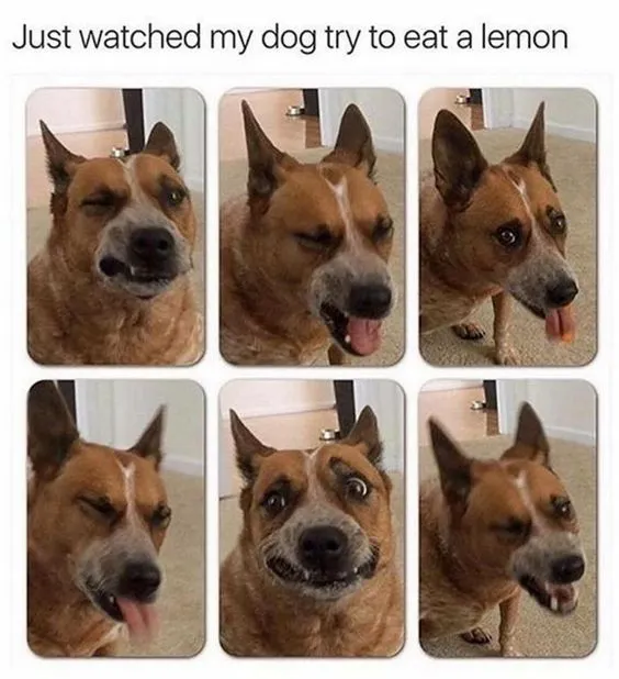 Laughter Is the Best Medicine
