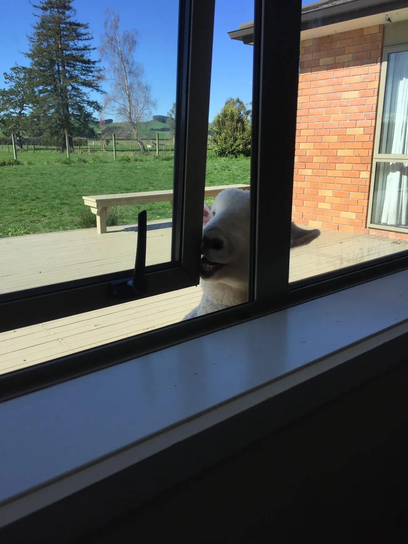 View From Your Window