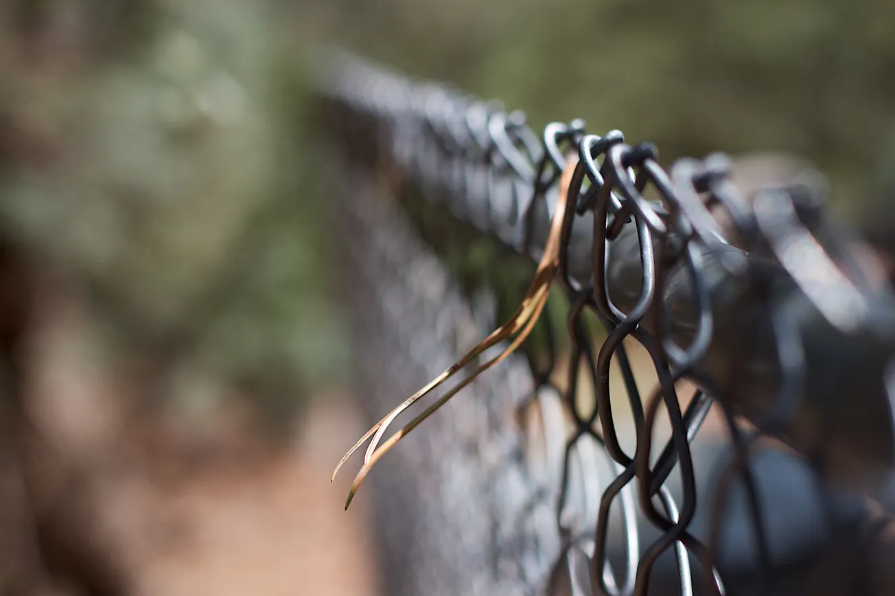 The Circus of Public Opinion and Regulation