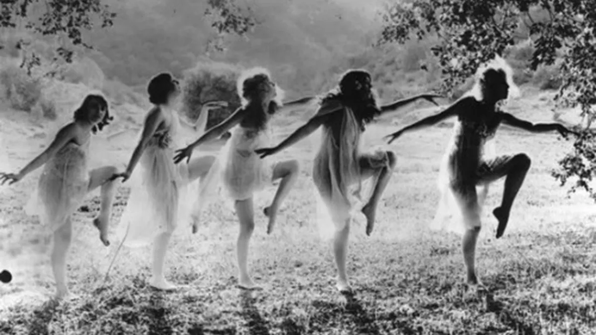 The ‘Architecture Critic’ Who Hugged a Tree