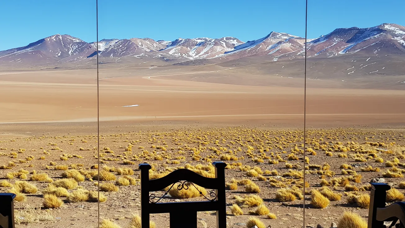 View From Your Window