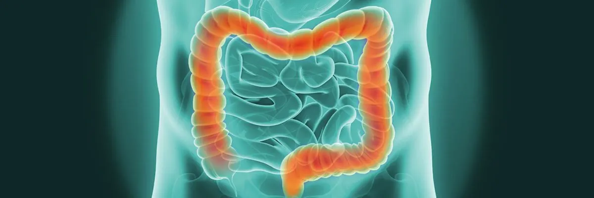 Getting to the Bottom of a Malfunctioning Bottom in Southland