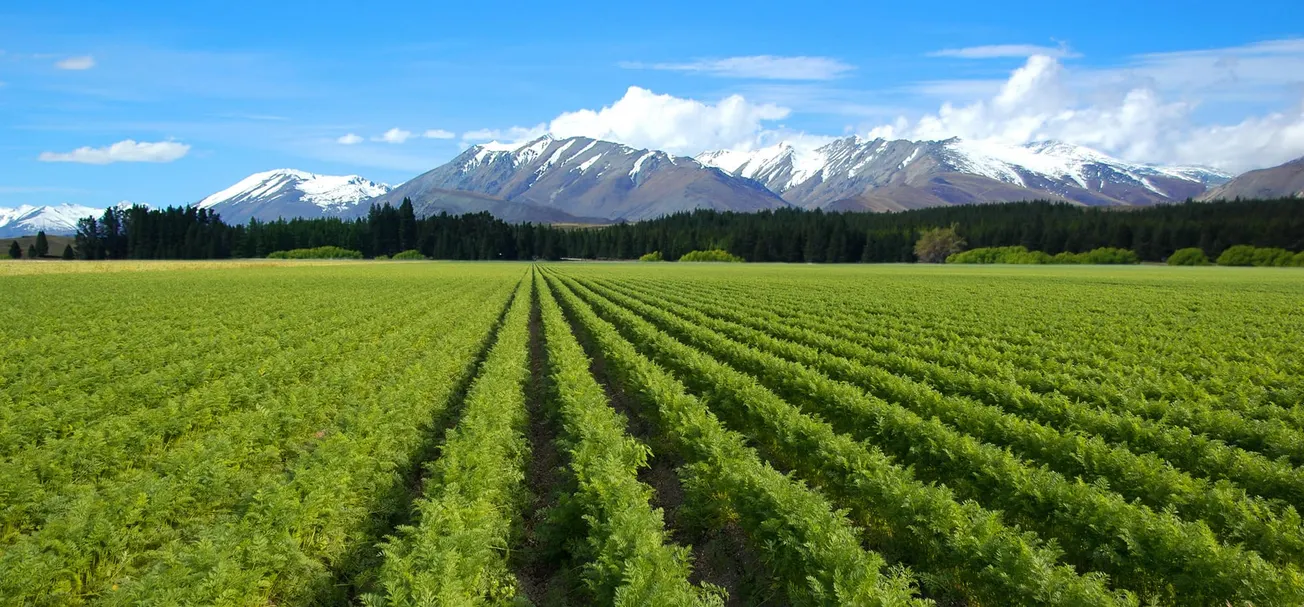 Waking Up On Climate Change: Farm Yields Keep Shattering Records