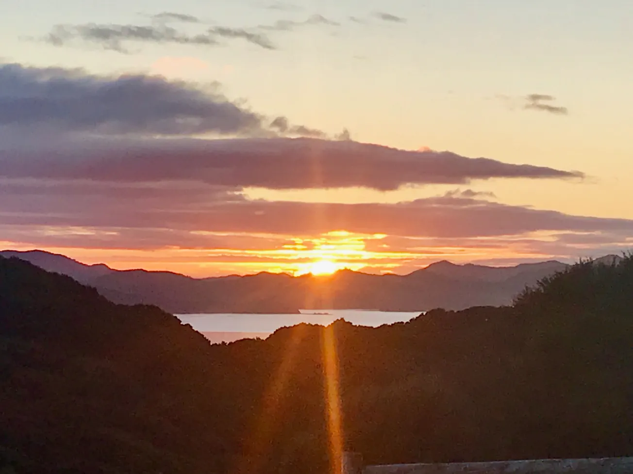 A Wonderful Resource for NZ Education