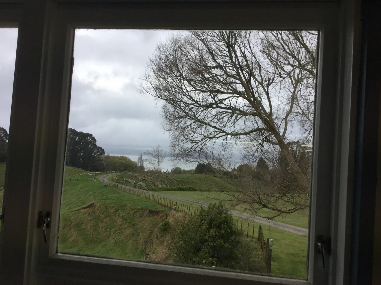 View From Your Window