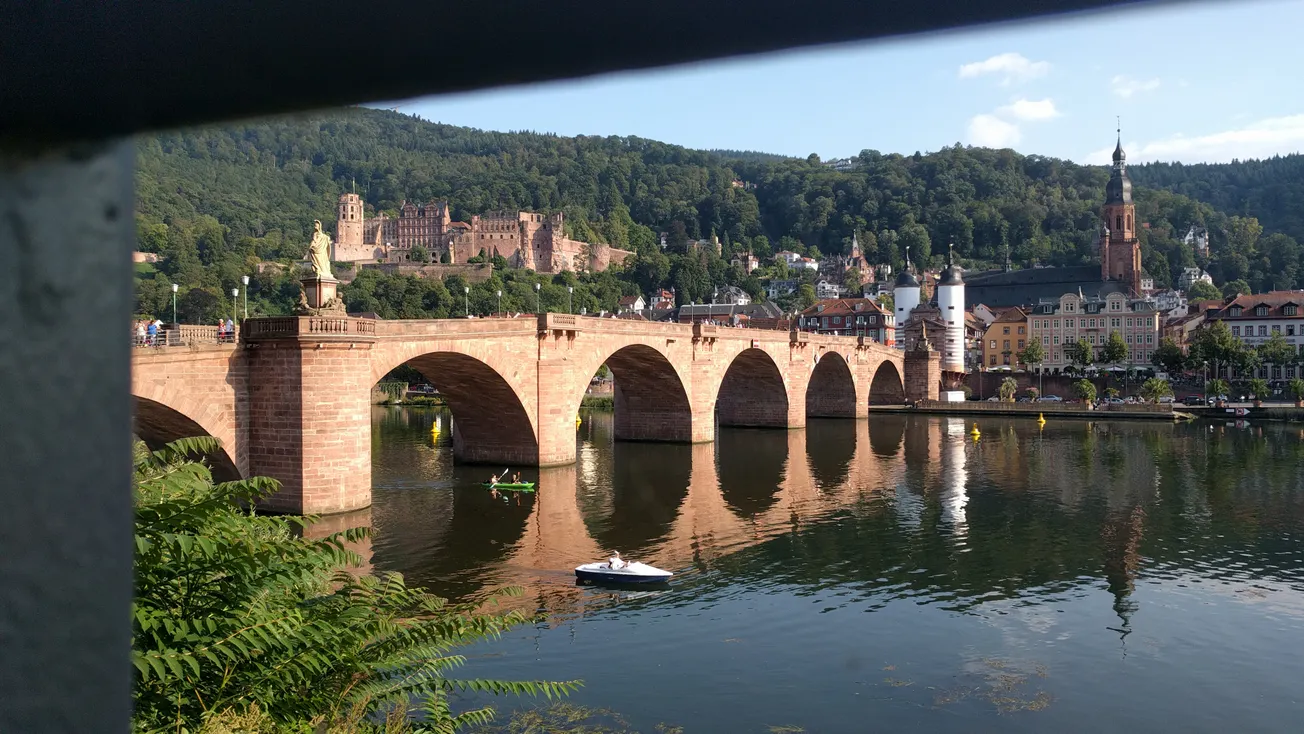 View From Your Window