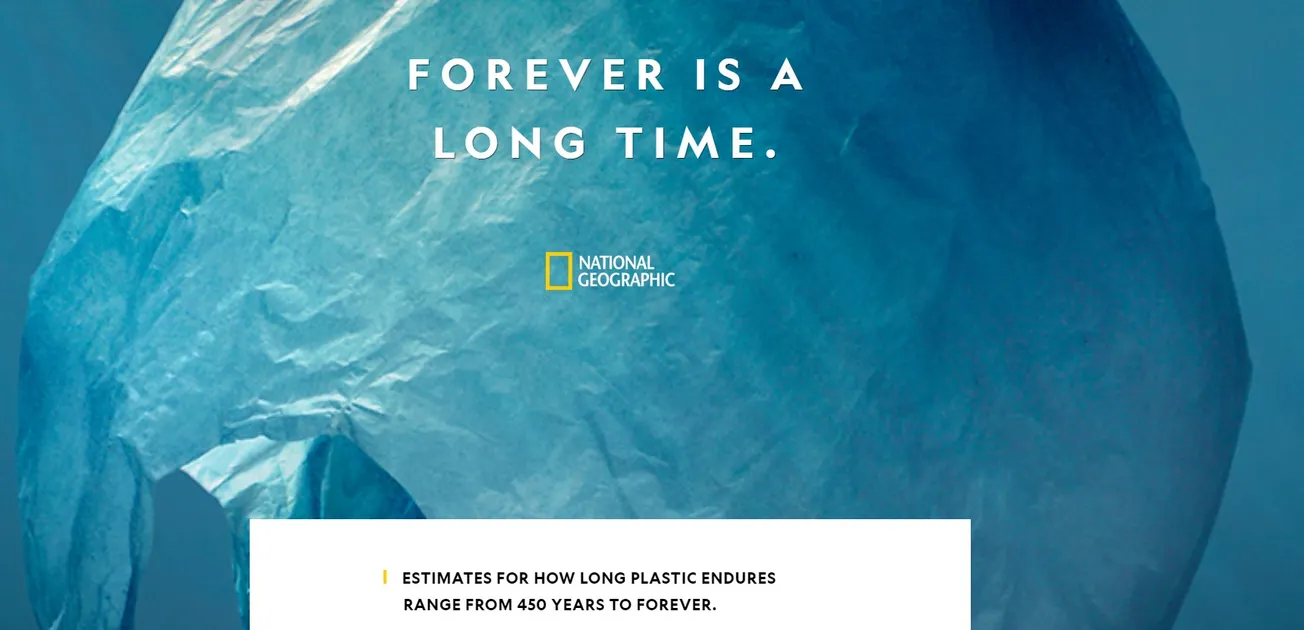 Plastic Lasts Forever – Or Does It?