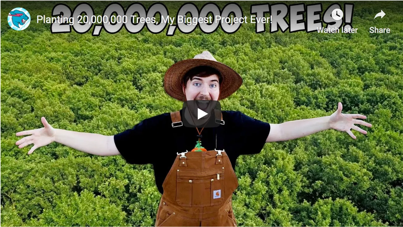 Cheaper than Shane Jones can Do It