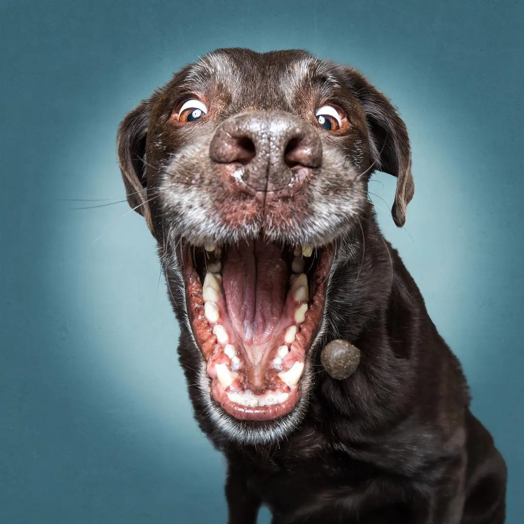 Laughter Is the Best Medicine