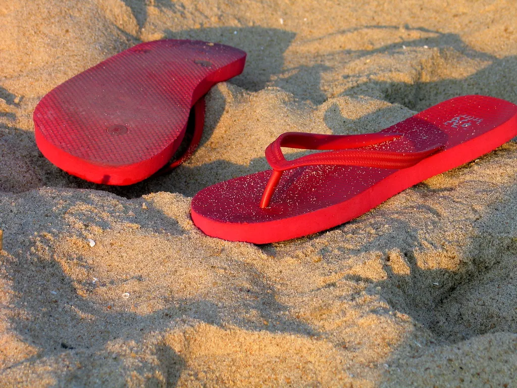 Political Flip Flop of the Week