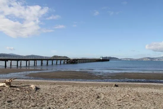 The Beginning of the End for Insurance?