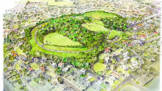 Mount Albert Residents to Face Chainsaws