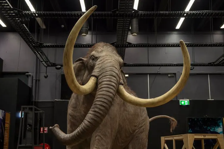 A New Study Shows an Animal’s Lifespan is written in the DNA. For Humans, it’s 38 Years