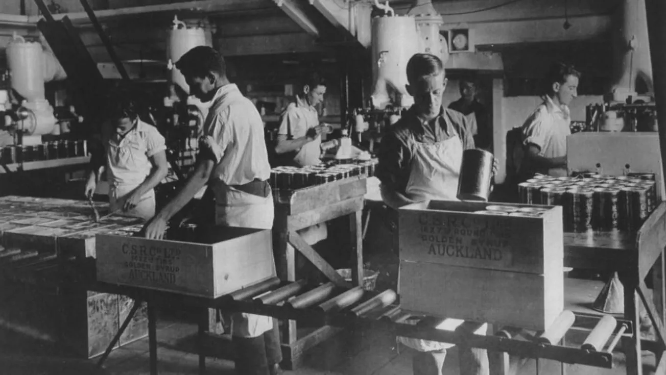 The Politics Of Attachment