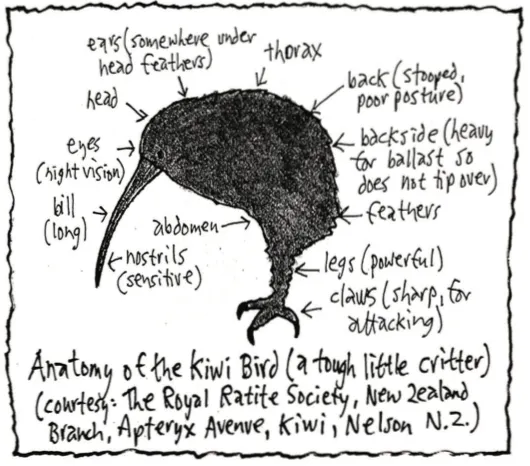 Serial Book: A Humorous History of NZ