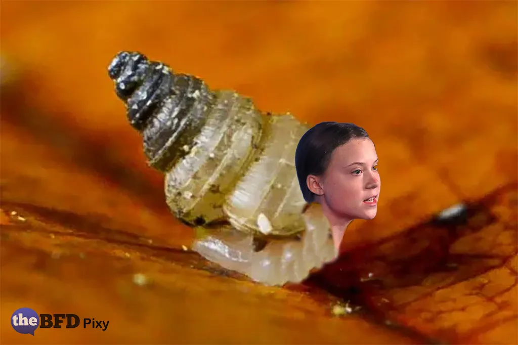 The BFD Face of the Day