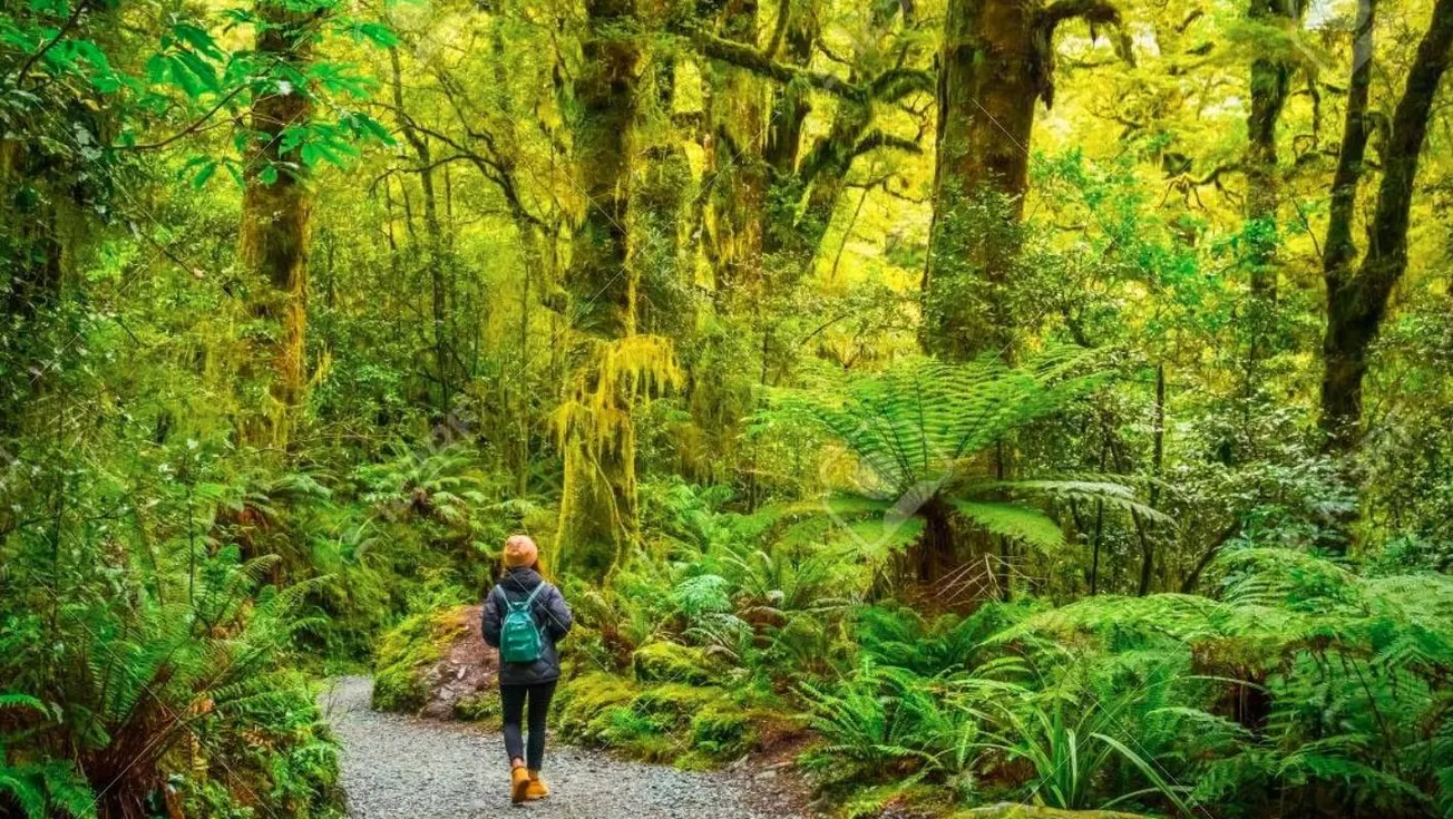 More Costs for Ratepayers from Central Government