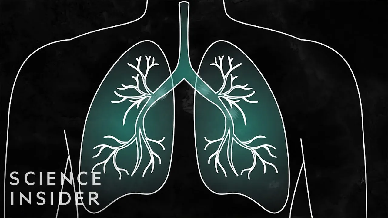 The BFD Video: What Coronavirus Symptoms Look Like, Day by Day