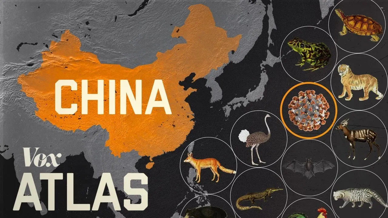 The BFD Video: Why New Diseases Keep Appearing in China