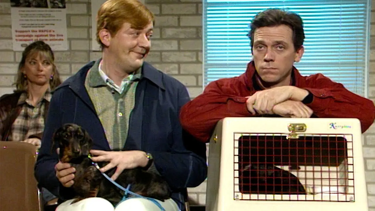 The BFD Video: Hugh Laurie’s Kitty Puss