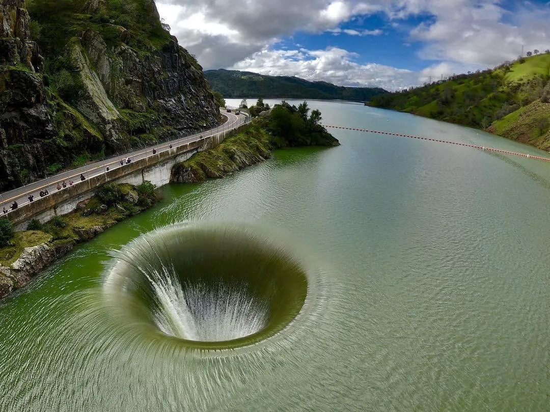 This Must Be Memory-holed Immediately!