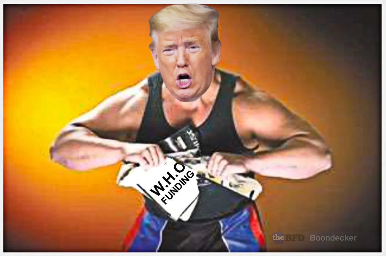 The Letter Sent to Dr. Tedros of the World Health Organization by President Trump