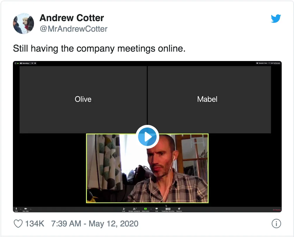The BFD Video: Still Having the Company Meetings Online