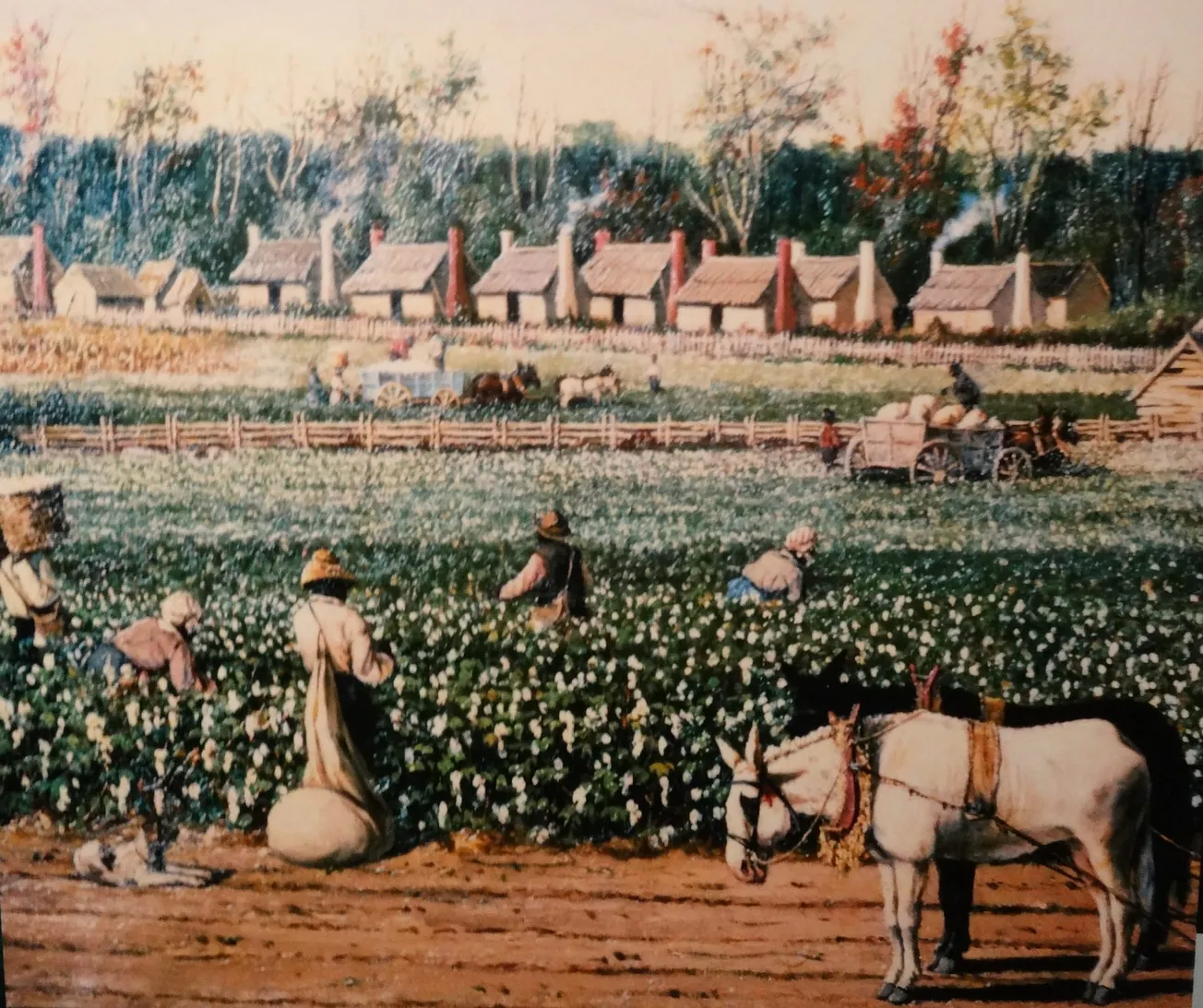 Is the Past Really a Shackle?