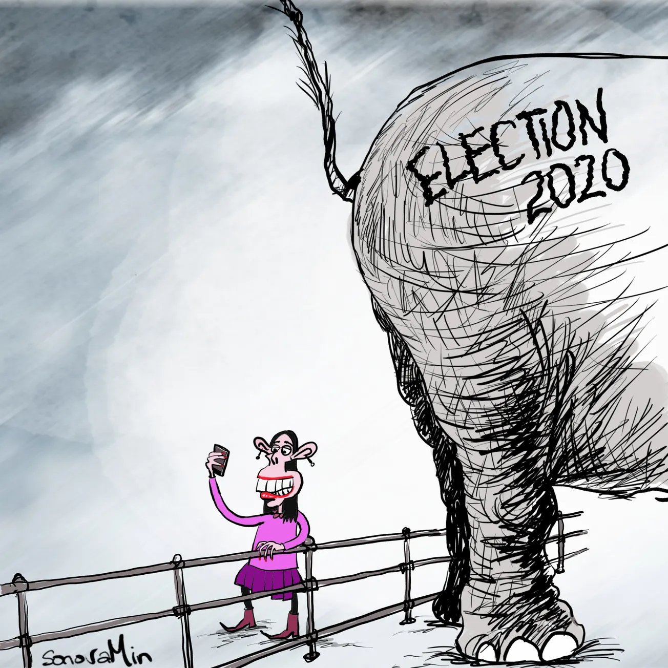 The Coming Election