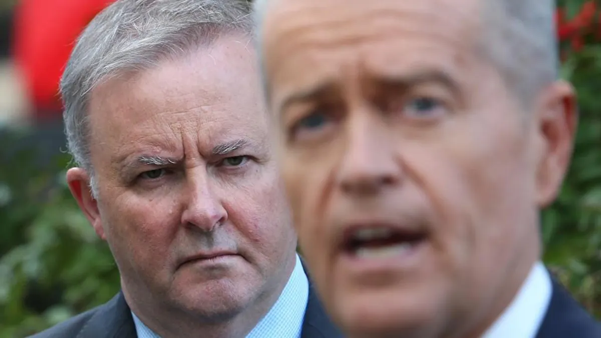 No Comfort for Albanese in By-Election Win