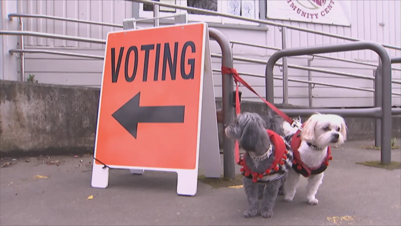 Minor Parties & Election Delay