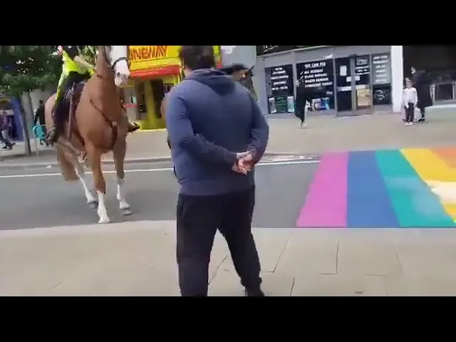 Bigoted Police Horses Sidestep Rainbow Crossing | UK