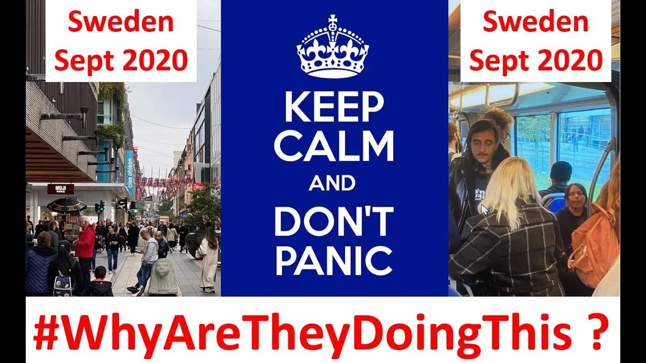 Urgent Update: Societal Damage From Bad Science, Not the Virus? Why Are They Doing This?
