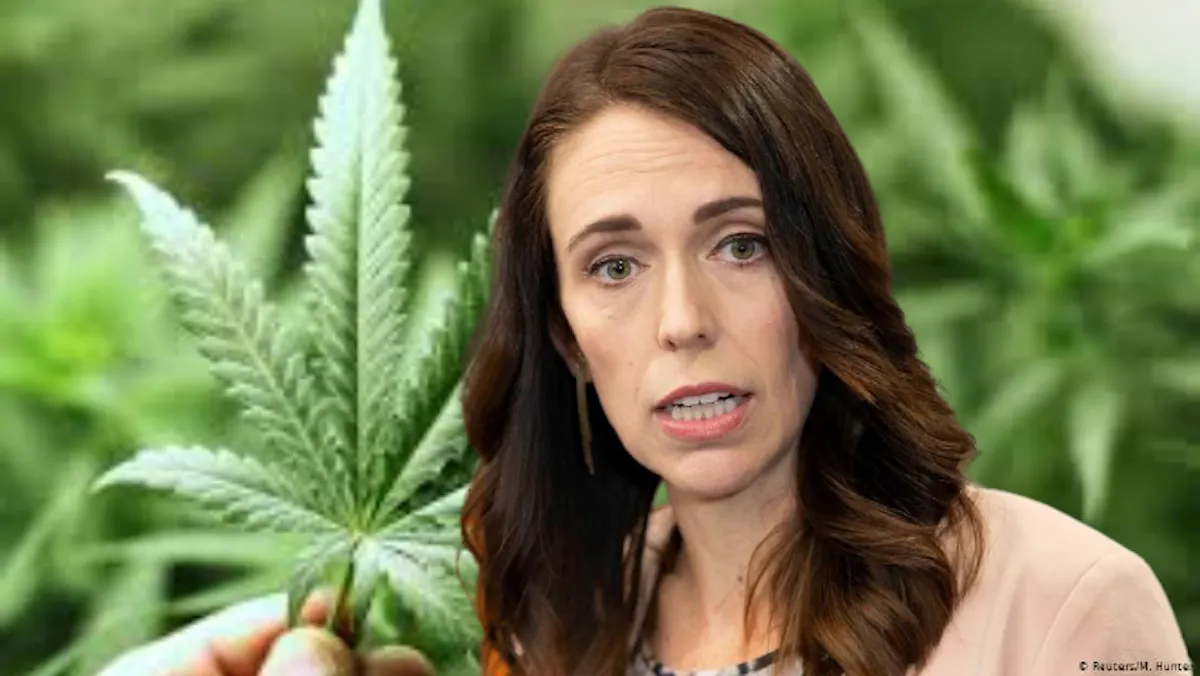 Insight: Politics Podcast with Cam Slater – Episode 29