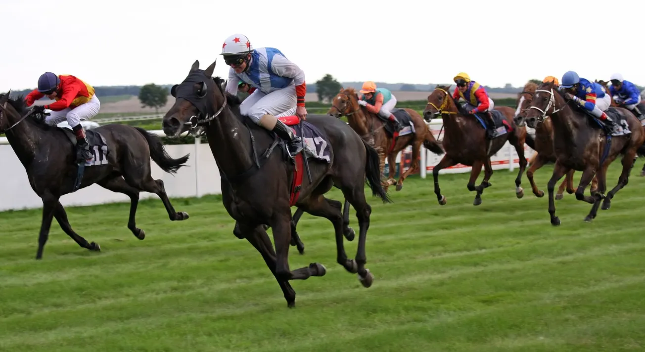 Welcome to the 45th Running of the Big Race
